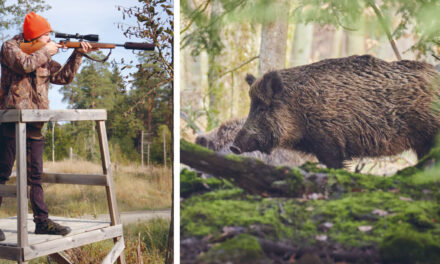 Jägarlycka på Bogesund