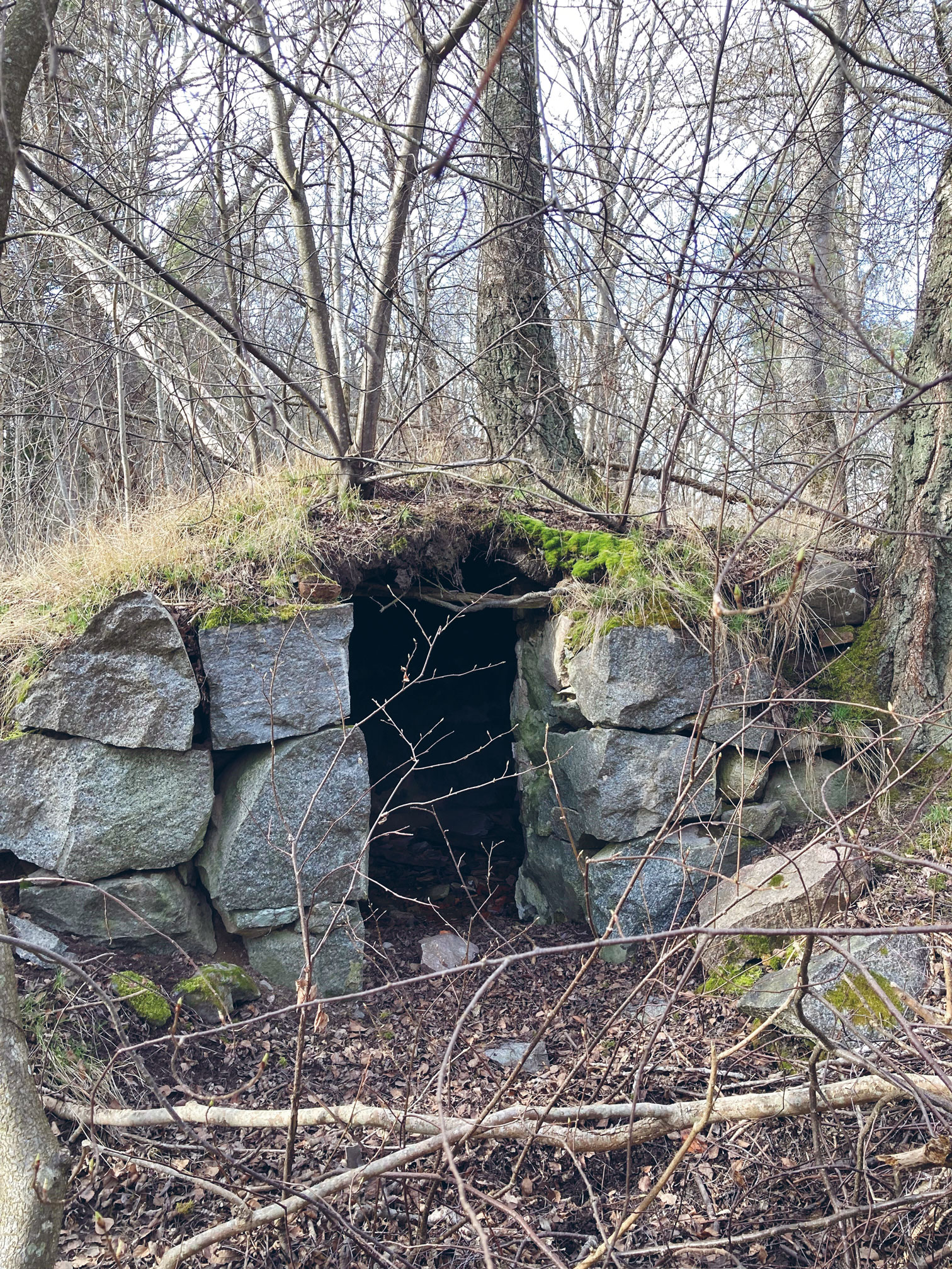 Matkällare Tenö gård
