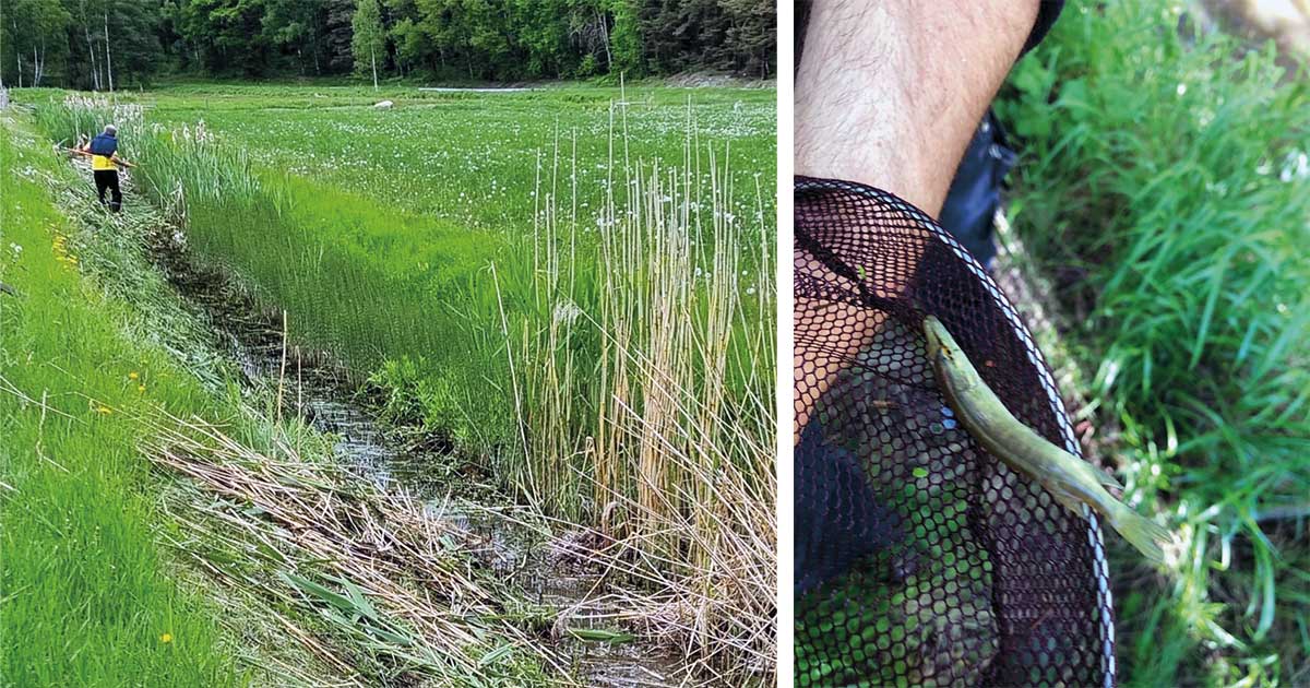 Gäddfabriken  på Bogesund