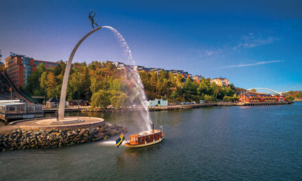 Från ånga till el,  historien om  Å/S Hjerter Kung