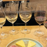 Munskänkarna Vaxholm – vin, vänskap och nya perspektiv